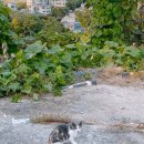 북정경로당 이미지