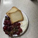 첼리노 | 저칼로리과자로 선택한 첼리노 토스트비스켓
