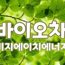 비지에이치(BGH)