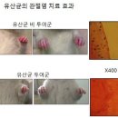 원보조기 이미지