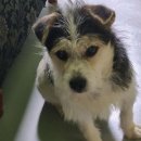 삼육사로31 이미지