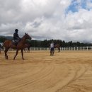 운영목장 이미지