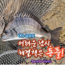 여수 금오도 감성돔 갯바위낚시 후기 (서울월드피싱 출조 버스, UPDtv)