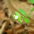 아랫말농장 이미지