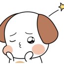 신데렐라스튜디오 이미지