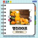명진라이프 네이버블로그
