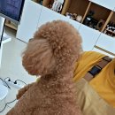 (원데이) 나를 표현하는 향수 이미지