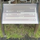 이천시 교원을 위한 힐링음악회 | 서울근교여행 이천 에덴파라다이스호텔 레지덴셜 스위트 후기 (티하우스에덴 세상의모든아침 조식)