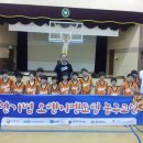 법인오렌지 이미지