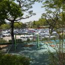 저도 임시주차장 | 평택시농업생태원 튤립 만개 재방문 후기 4월 봄꽃 실시간 개화 상태 (임시주차장 정보)