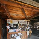 저곳에 | 🇯🇵일본 후쿠오카 "알차게 이곳저곳!" 마이리얼트립 이토시마코스 버스투어 후기🚍 후쿠오카 여행기 ep.2