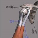 MSL PT 이미지