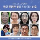 인셀덤 늘해랑