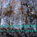 청옥산휴양림 이미지