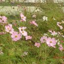 동춘기업(주) 이미지