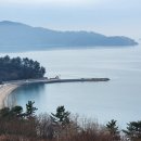 대곡농장 Daum카페
