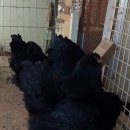 현성농장 이미지