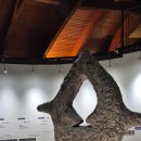 울주 대곡리 반구대 암각화 | [울산 울주군] 언양읍 대곡리 반구대 암각화 와 울산암각화박물관 - 2025.10.26