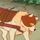 양주감악산캠핑장 이미지