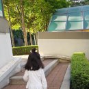 예손어린이집 | 4살 유아 팔 빠짐 / 팔꿈치 탈골 깁스