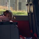 3월 입학 어린이집 (1주일 후기)