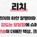 쥬스쿨 이미지