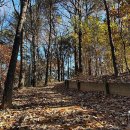 건강마당공원 이미지