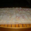 넙치민박 이미지