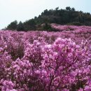 대구경북3040산악회 제21차 2017년 4월 둘째토요일 정기산행 예비알림 이미지