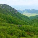 대구경북 명산 '팔공산' 23번째 국립공원 되었습니다 (6월 팔공산)아주 좋아요^^ 이미지