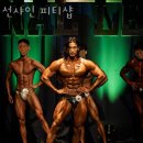 선샤인 피티샵 이미지