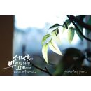 마스터캘리포토그라피