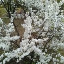 충무공농악 이미지