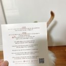 댕댕어썸 이미지