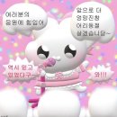 알로카시아 | 250729 알로카시아 닌자 트리컬러 스플래쉬 구매 한달 후기 (건강한 식물 구매의 중요성)