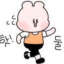 매머드익스프레스창동