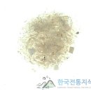 백영사 이미지