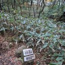 록담 | 11월 한라산 관음사~성판악 코스 후기｜난이도, 준비물, 옷차림 등 꿀팁