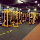 MUSCLE GYM(머슬짐) 이미지