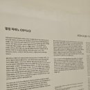 서울 전시 리움미술관 필립파레노 보이스 / 예약, 입장료, 관람후기