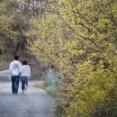 양평한우 이미지