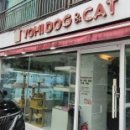 분당 요미독앤캣 강아지분양 고양이분양 이미지