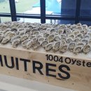 신안성장 이미지