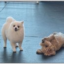 멍데이 유치원 이미지