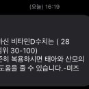 샬로미 이미지