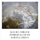 수제삼계탕 이미지