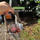 성지농장 | 🇵🇦파나마 보케테 커피투어 후기, 게이샤의 나라에서 직접 체험한 핀카 카상가(Finca Casanga) 커피 농장