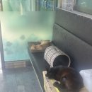 장유 무계지하차도 | 김해 운전면허 학원 | 장유자동차운전전문학원 수강 후기부터 합격 팁까지