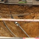 고령백의원 이미지