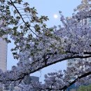 몽촌토성역 이미지